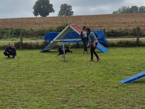 Stage d'agility, 12 octobre 2025
