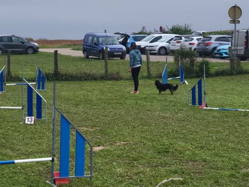 Stage d'agility, 12 octobre 2025