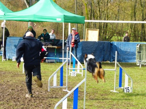 Concours d'agility, Gergy, 25mars 2018