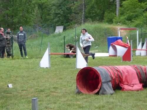 Concours d'agility, Messigny Vantoux, 12 et 13 mai 2018