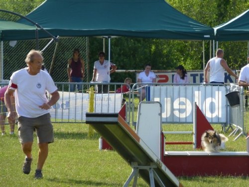 Concours d'agility, Magny sur Tille, 12 juillet 2015