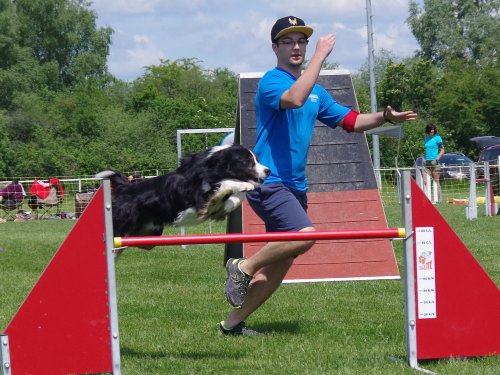 Concours d'agility, Magny sur Tille, 26 mai 2019