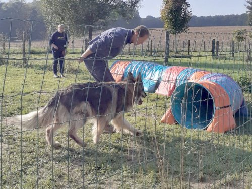 Stage d'agility, 12 octobre 2025