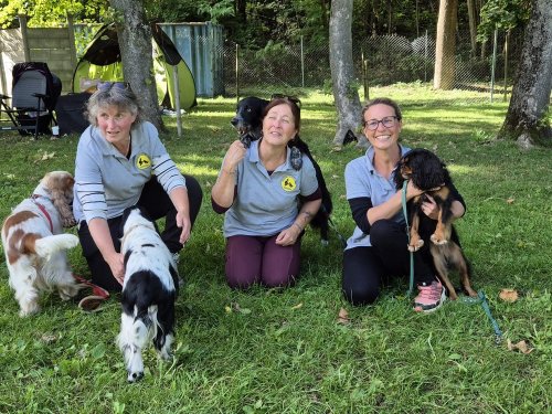 Concours d'agility, Châtenoy le Royal 28 septembre 2025