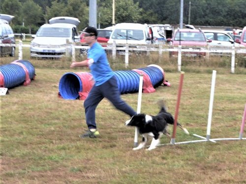 Concours d'agility, Montret, 28 juillet 2019