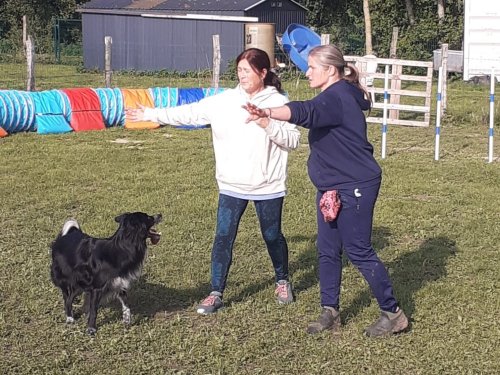 Stage d'agility, 12 octobre 2025