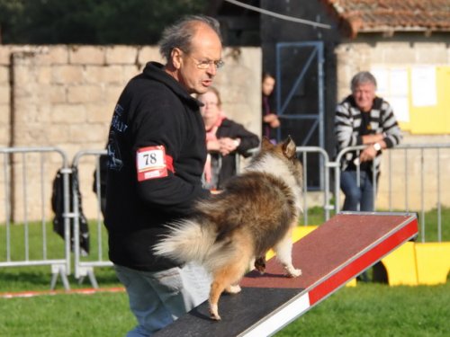 Concours d'agility, Autun, 27 septembre 2015