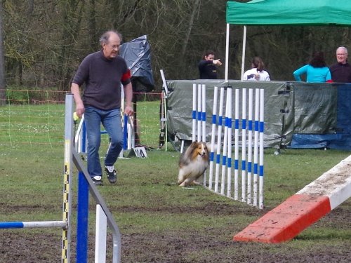 Concours d'agility, Gergy, 25mars 2018