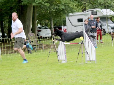 Concours d'agility,  les photos du dimanche