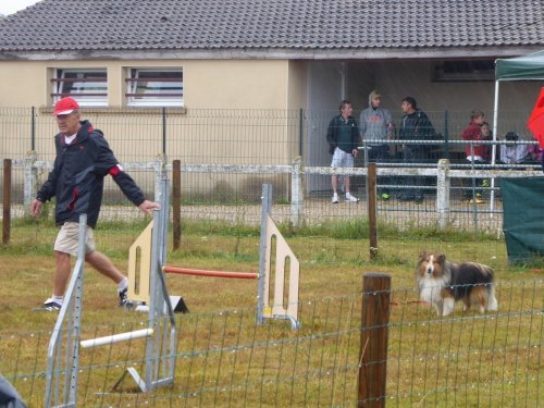 Concours d'agility, Montret, 28 juillet 2019