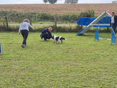 Stage d'agility, 12 octobre 2025