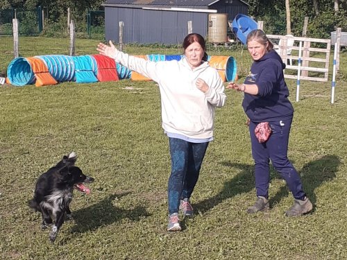 Stage d'agility, 12 octobre 2025