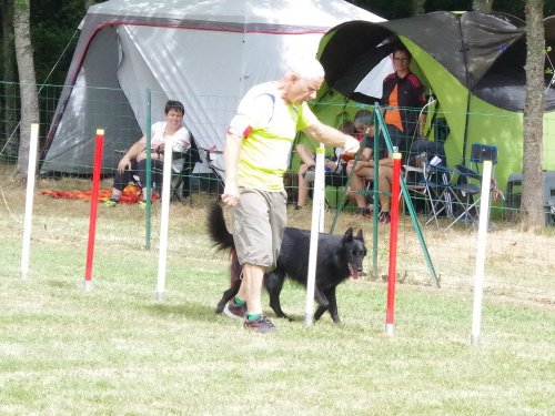 Concours d'agility, Sanvignes, 5 août 2017