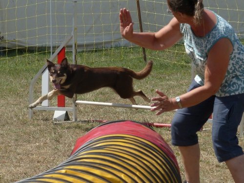 Démonstration à Bresse sur Grosne les 5 et 6 août 2017