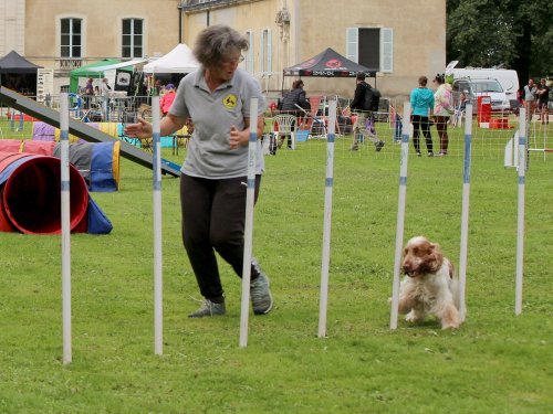 Concours d'agility, nos fontenois au château de la Loyere