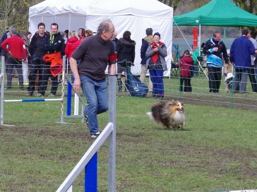 Concours d'agility, Gergy, 25mars 2018