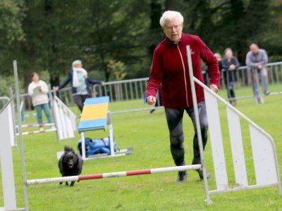 Concours d'agility, les photos du samedi