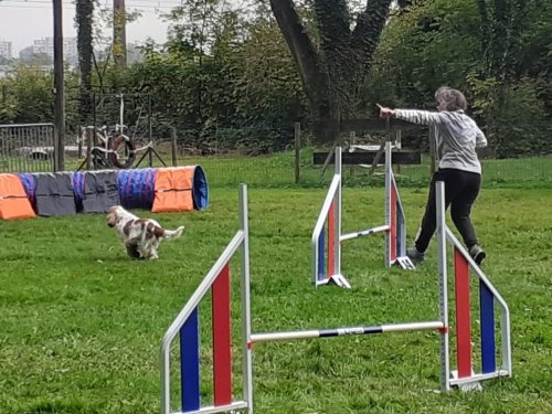 Concours d'agility, Châtenoy le Royal 28 septembre 2025