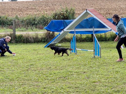 Stage d'agility, 12 octobre 2025