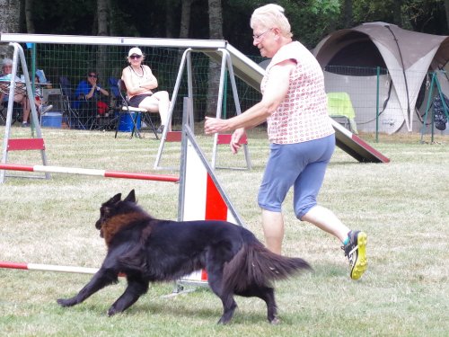 Concours d'agility, Sanvignes, 5 août 2017