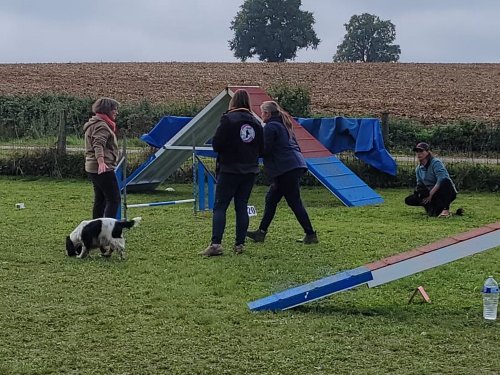 Stage d'agility, 12 octobre 2025