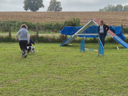 Stage d'agility, 12 octobre 2025