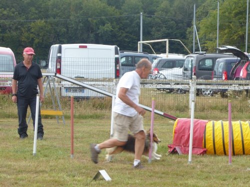 Concours d'agility, Montret, 28 juillet 2019