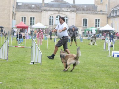 Concours d'agility,  les photos du dimanche