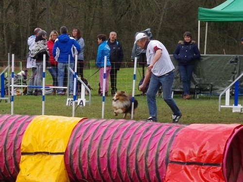 Concours d'agility, Gergy, 25mars 2018