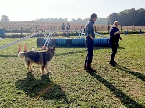 Stage d'agility, 12 octobre 2025