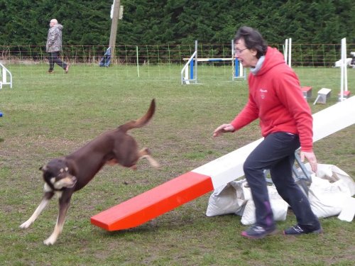 Concours d'agility, Gergy, 25mars 2018