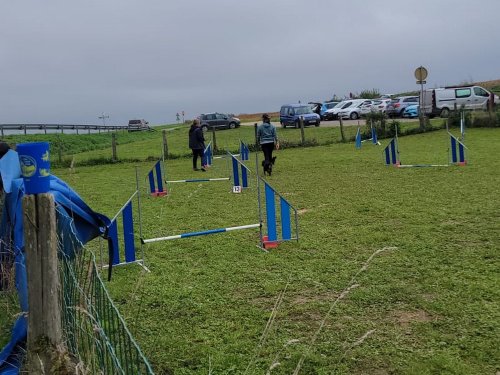 Stage d'agility, 12 octobre 2025