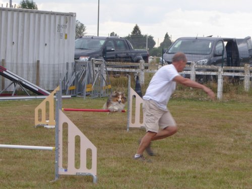 Concours d'agility, Montret, 28 juillet 2019