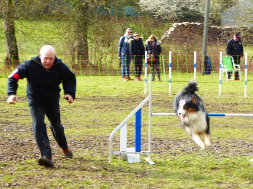 Concours d'agility, Gergy, 25mars 2018