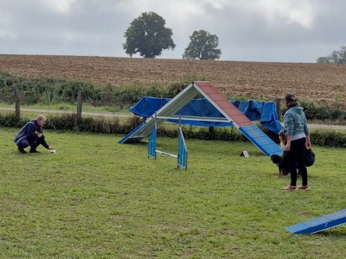 Stage d'agility, 12 octobre 2025