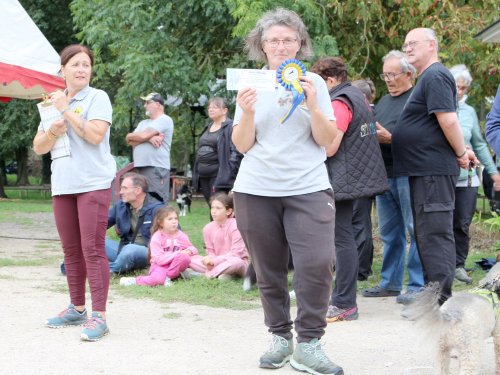 Concours d'agility, nos fontenois au château de la Loyere