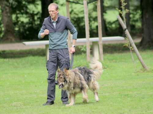 Concours d'agility, nos fontenois au château de la Loyere