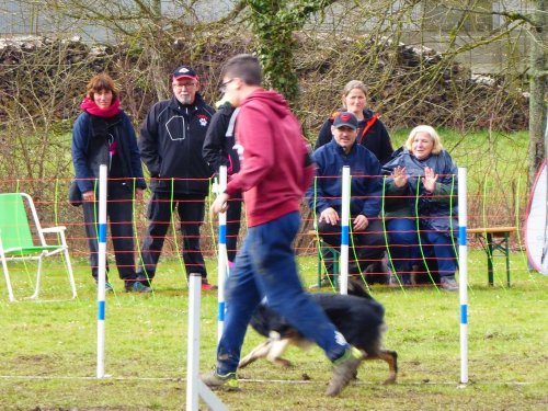 Concours d'agility, Gergy, 25mars 2018