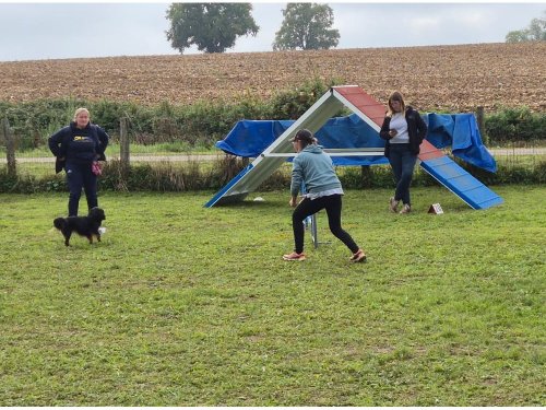 Stage d'agility, 12 octobre 2025