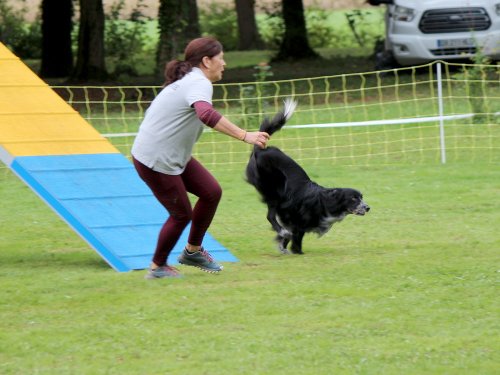 Concours d'agility, nos fontenois au château de la Loyere