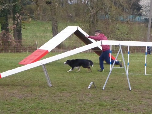 Concours d'agility, Gergy, 25mars 2018