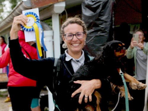 Concours d'agility, nos fontenois au château de la Loyere