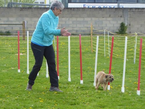 Concours d'agility, Barges, 21 avril 2019