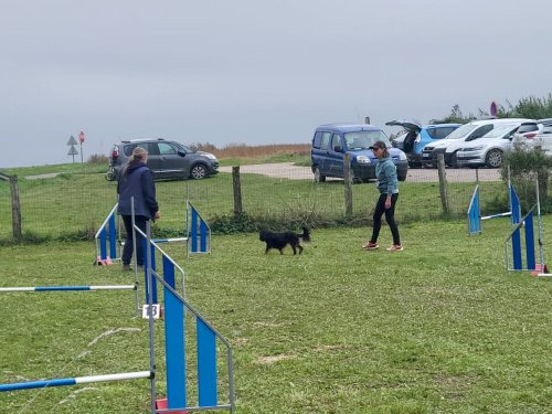 Stage d'agility, 12 octobre 2025