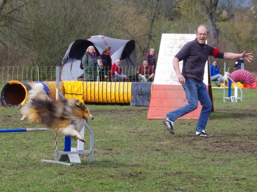 Concours d'agility, Gergy, 25mars 2018