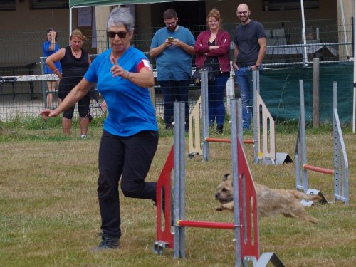 Concours d'agility, Montret, 28 juillet 2019