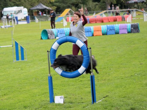 Concours d'agility, nos fontenois au château de la Loyere