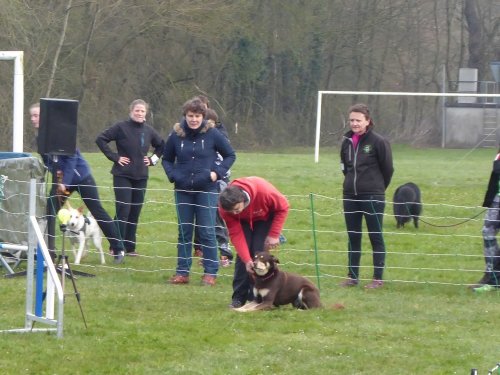 Concours d'agility, Gergy, 25mars 2018