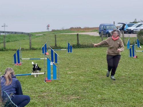 Stage d'agility, 12 octobre 2025