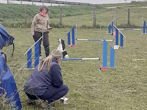 Stage d'agility, 12 octobre 2025